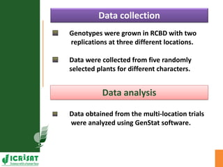 Genotype x Environment (GxE) interaction studies in hybrids and elite cultivars of pigeonpea