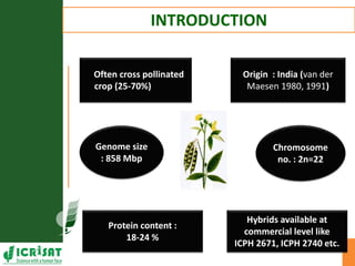 Genotype x Environment (GxE) interaction studies in hybrids and elite cultivars of pigeonpea