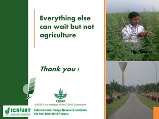 Genotype x Environment (GxE) interaction studies in hybrids and elite cultivars of pigeonpea