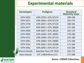 Genotype x Environment (GxE) interaction studies in hybrids and elite cultivars of pigeonpea