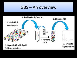 GBS – An overview
 
