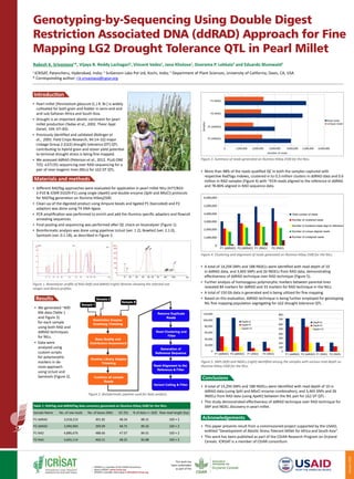 January2016
Genotyping-by-Sequencing Using Double Digest
Restriction Associated DNA (ddRAD) Approach for Fine
Mapping LG2 Drought Tolerance QTL in Pearl Millet
Rakesh K. Srivastava1
*, Vijaya B. Reddy Lachagari2
, Vincent Vadez1
, Jana Kholova1
, Sivarama P. Lekkala2
and Eduardo Blumwald3
1
ICRISAT, Patancheru, Hyderabad, India; 2
SciGenom Labs Pvt Ltd, Kochi, India; 3
Department of Plant Sciences, University of California, Davis, CA, USA
* Corresponding author: r.k.srivastava@cgiar.org
Introduction
▪▪ Pearl millet [Pennisetum glaucum (L.) R. Br.] is widely
cultivated for both grain and fodder in semi-arid and
arid sub-Saharan Africa and South Asia.
▪▪ Drought is an important abiotic constraint for pearl
millet production (Yadav et al., 2002. Theor Appl
Genet, 104: 67–83).
▪▪ Previously identified and validated (Bidinger et
al., 2005. Field Crops Research, 94:14–32) major
Linkage Group 2 (LG2) drought tolerance (DT) QTL
contributing to hybrid grain and stover yield potential
to terminal drought stress is being fine mapped.
▪▪ We assessed ddRAD (Peterson et al., 2012. PLoS ONE
7(5): e37135) sequencing over RAD-sequencing for a
pair of near-isogenic lines (NILs) for LG2 DT QTL.
Figure 1. Bioanalyzer profile of RAD (left) and ddRAD (right) libraries showing the selected size
ranges and library profiles.
Figure 2. Bioinformatic pipeline used for data analysis.
Figure 4. Clustering and alignment of reads generated on Illumina HiSeq 2500 for the NILs.
Figure 5. SNPs (left) and INDELs (right) identified among the samples with various read depth on
Illumina HiSeq 2500 for the NILs.
Materials and methods
▪▪ Different RADTag approaches were evaluated for application in pearl millet NILs (H77/833-
2-P10 & ICMR 01029-P1) using single (ApeKI) and double enzyme (SphI and MluCI) protocols
for RADTag generation on Illumina HiSeq2500.
▪▪ Clean-up of the digested product using Ampure beads and ligated P1 (barcoded) and P2
adaptors was done using T4 DNA ligase.
▪▪ PCR amplification was performed to enrich and add the Illumina specific adapters and flowcell
annealing sequences.
▪▪ Final pooling and sequencing was performed after QC check on bioanalyzer (Figure 1).
▪▪ Bioinformatic analysis was done using pipelinse Uclust (ver. 1.2), Bowtie2 (ver. 2.1.0),
Samtools (ver. 0.1.18), as described in Figure 2.
Results
▪▪ We generated ~400
Mb data (Table 1
and Figure 3)
for each sample
using both RAD and
ddRAD techniques
for NILs.
▪▪ Data were
analyzed using
custom scripts
for polymorphic
markers in de-
novo approach
using Uclust and
Samtools (Figure 2).
Table 1: RADTag and ddRADTag data summary generated on Illumina HiSeq 2500 for the NILs.
Sample Name No. of raw reads No. of bases (Mb) GC (%) % of data >= Q30 Raw read length (bp)
P1 ddRAD 3,018,210 301.82 48.34 88.31 100 × 2
P2 ddRAD 3,990,900 399.09 48.75 89.26 100 × 2
P1 RAD 4,886,676 488.66 47.07 84.01 100 × 2
P2 RAD 4,665,114 466.51 48.25 83.88 100 × 2
▪▪ More than 98% of the reads qualified QC in both the samples captured with
respective RadTags indexes, clustered in to 0.3 million clusters in ddRAD data and 0.6
million in RAD samples (Figure 4) with ~91% reads aligned to the reference in ddRAD
and 78-86% aligned in RAD sequence data.
▪▪ A total of 14,294 SNPs and 188 INDELs were identified with read depth of 10
in ddRAD data, and 3,465 SNPs and 26 INDELs from RAD data, demonstrating
effectiveness of ddRAD technique over RAD technique (Figure 5).
▪▪ Further analysis of homozygous polymorphic markers between parental lines
revealed 84 markers for ddRAD and 33 markers for RAD technique in the NILs.
▪▪ A total of 150 Gb data is generated and is being utilized for fine mapping.
▪▪ Based on this evaluation, ddRAD technique is being further employed for genotyping
NIL fine mapping population segregating for LG2 drought tolerance QTL .
Conclusions
▪▪ A total of 14,294 SNPs and 188 INDELs were identified with read depth of 10 in
ddRAD data (using SphI and MluCI enzyme combination), and 3,465 SNPs and 26
INDELs from RAD data (using ApeKI) between the NIL pair for LG2 DT QTL .
▪▪ This study demonstrated effectiveness of ddRAD technique over RAD technique for
SNP and INDEL discovery in pearl millet.
Acknowledgements
▪▪ This paper presents result from a commissioned project supported by the USAID,
entitled “Development of Abiotic Stress Tolerant Millet for Africa and South Asia”.
▪▪ This work has been published as part of the CGIAR Research Program on Dryland
Cereals. ICRISAT is a member of CGIAR consortium.
0
20,000
40,000
60,000
80,000
100,000
120,000
P1 (ddRAD) P1 (RAD)P2 (ddRAD) P2 (RAD)
Depth=2
Depth=5
Depth=10
0
200
100
400
300
500
600
700
800
P1 (ddRAD) P1 (RAD)P2 (ddRAD) P2 (RAD)
Depth=2
Depth=5
Depth=10
Total number of reads
Number of clustered reads
Number of clustered reads align to reference
Number of unique aligned reads
Number of unaligned reads
P1 (ddRAD) P1 (RAD)P2 (ddRAD) P2 (RAD)
6,000,000
5,000,000
4,000,000
3,000,000
2,000,000
1,000,000
0
Figure 3. Summary of reads generated on Illumina HiSeq 2500 for the NILs.
1,000,0000 2,000,000 3,000,000 4,000,000 5,000,000 6,000,000
Total reads
Unique reads
Number of reads
Samples
P2 (RAD)
P1 (RAD)
P1 (ddRAD)
P2 (ddRAD)
ICRISAT is a member of the CGIAR Consortium
About ICRISAT: www.icrisat.org
ICRISAT’s scientific information: EXPLOREit.icrisat.org
This work has
been undertaken
as part of the
 