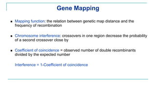 Genotyping, linkage mapping and binary data | PDF