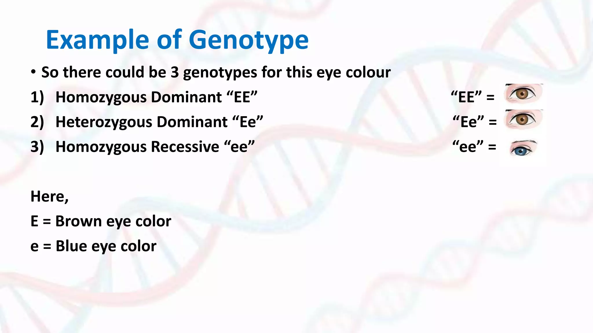 Genotyping With PCR | PPTX