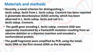 Materials and methods
• Recently, a novel criterion for distinguishing L.
lactis subsp. lactis from L. lactis subsp. Cremoris has been reported
is glutamate decarboxylase (GAD) activity, which has been
observed in L. lactis subsp. lactis and not in L.
lactis subsp. Cremoris.
• The gadB gene encoding L. lactis subsp. cremoris GAD was
apparently inactivated by a frameshift mutation resulting from an
adenine deletion or a thymine insertion and encoded a
nonfunctional protein.
• The gadB fragments were amplified by PCR, using the totalL.
lactis DNA or the first-strand cDNA as the template.
 
