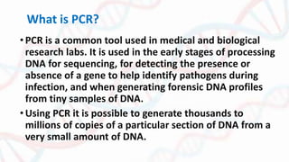 What is PCR?
•PCR is a common tool used in medical and biological
research labs. It is used in the early stages of processing
DNA for sequencing, for detecting the presence or
absence of a gene to help identify pathogens during
infection, and when generating forensic DNA profiles
from tiny samples of DNA.
•Using PCR it is possible to generate thousands to
millions of copies of a particular section of DNA from a
very small amount of DNA.
 