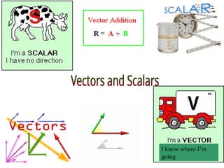 Gen Phy 1 - Lesson 2 - Vectors & Vector Addition.ppt