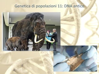 Genetica di popolazioni 11: DNA antico
 