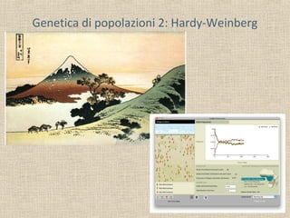 Genetica di popolazioni 2: Hardy-Weinberg

 