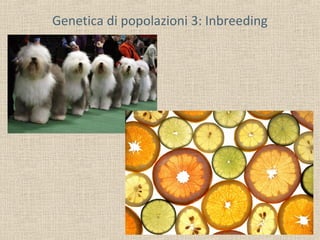 Genetica di popolazioni 3: Inbreeding

 