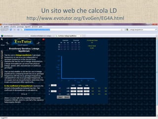 Un sito web che calcola LD
http://www.evotutor.org/EvoGen/EG4A.html

 