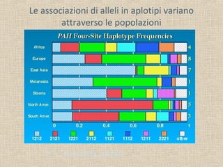 Le associazioni di alleli in aplotipi variano
attraverso le popolazioni

24 = 16 possibili aplotipi

 