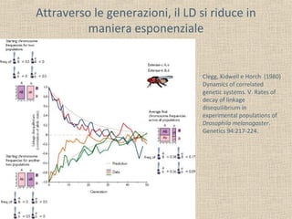 Attraverso le generazioni, il LD si riduce in
maniera esponenziale

Clegg, Kidwell e Horch (1980)
Dynamics of correlated
genetic systems. V. Rates of
decay of linkage
disequilibrium in
experimental populations of
Drosophila melanogaster.
Genetics 94:217-224.

 