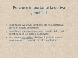 Perché è importante la deriva
genetica?
• Importanza evolutiva: cambiamento non adattativo,
specie in piccole popolazioni
• Importanza per la conservazione: perdita di diversità
genetica, specie in piccole popolazioni
• Importanza biomedica: alleli patologici altrove rari
possono essere comuni in piccole popolazioni

 