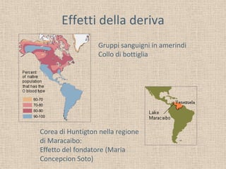 Effetti della deriva
Gruppi sanguigni in amerindi
Collo di bottiglia

Corea di Huntigton nella regione
di Maracaibo:
Effetto del fondatore (Maria
Concepcion Soto)

 