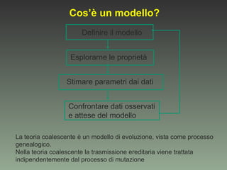 Cos’è un modello?
                       Definire il modello


                   Esplorarne le proprietà


                 Stimare parametri dai dati


                  Confrontare dati osservati
                  e attese del modello

La teoria coalescente è un modello di evoluzione, vista come processo
genealogico.
Nella teoria coalescente la trasmissione ereditaria viene trattata
indipendentemente dal processo di mutazione
 