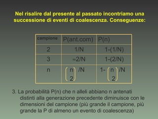 Nel risalire dal presente al passato incontriamo una
successione di eventi di coalescenza. Conseguenze:


          campione    P(ant.com) P(n)
               2           1/N          1-(1/N)
               3          ≈2/N          1-(2/N)
               n         n /N         1- n /N
                         2               2

3. La probabilità P(n) che n alleli abbiano n antenati
    distinti alla generazione precedente diminuisce con le
    dimensioni del campione (più grande il campione, più
    grande la P di almeno un evento di coalescenza)
 