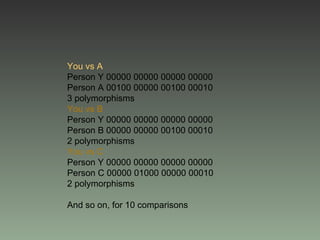 You vs A
Person Y 00000 00000 00000 00000
Person A 00100 00000 00100 00010
3 polymorphisms
You vs B
Person Y 00000 00000 00000 00000
Person B 00000 00000 00100 00010
2 polymorphisms
You vs C
Person Y 00000 00000 00000 00000
Person C 00000 01000 00000 00010
2 polymorphisms

And so on, for 10 comparisons
 