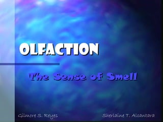 OlfactionOlfaction
The Sense of SmellThe Sense of Smell
Gilmore S. Reyes Sherlaine T. Alcantara
 