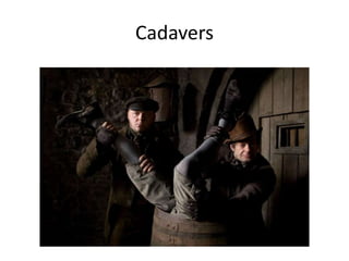 Cadavers

 