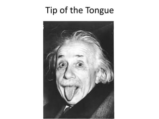 Tip of the Tongue

 