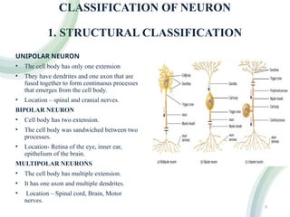 Axon Classifications Genral ascpect and steps involved in neurotrasmission | PPTX