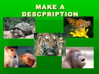 MAKE A
DESCPRIPTION
 