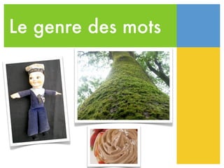 Le genre des mots
 