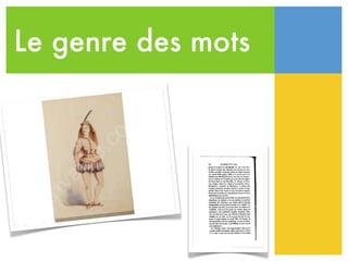 Le genre des mots
 