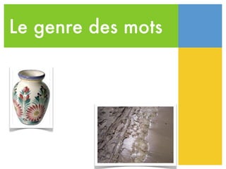 Le genre des mots
 