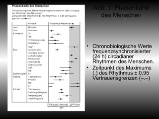 Abb. 1: Phasenkarte des Menschen Chronobiologische Werte frequenzsynchronisierter (24 h) circadianer Rhythmen des Menschen. Zeitpunkt des Maximums (.) des Rhythmus ± 0,95 Vertrauensgrenzen (–.–)  