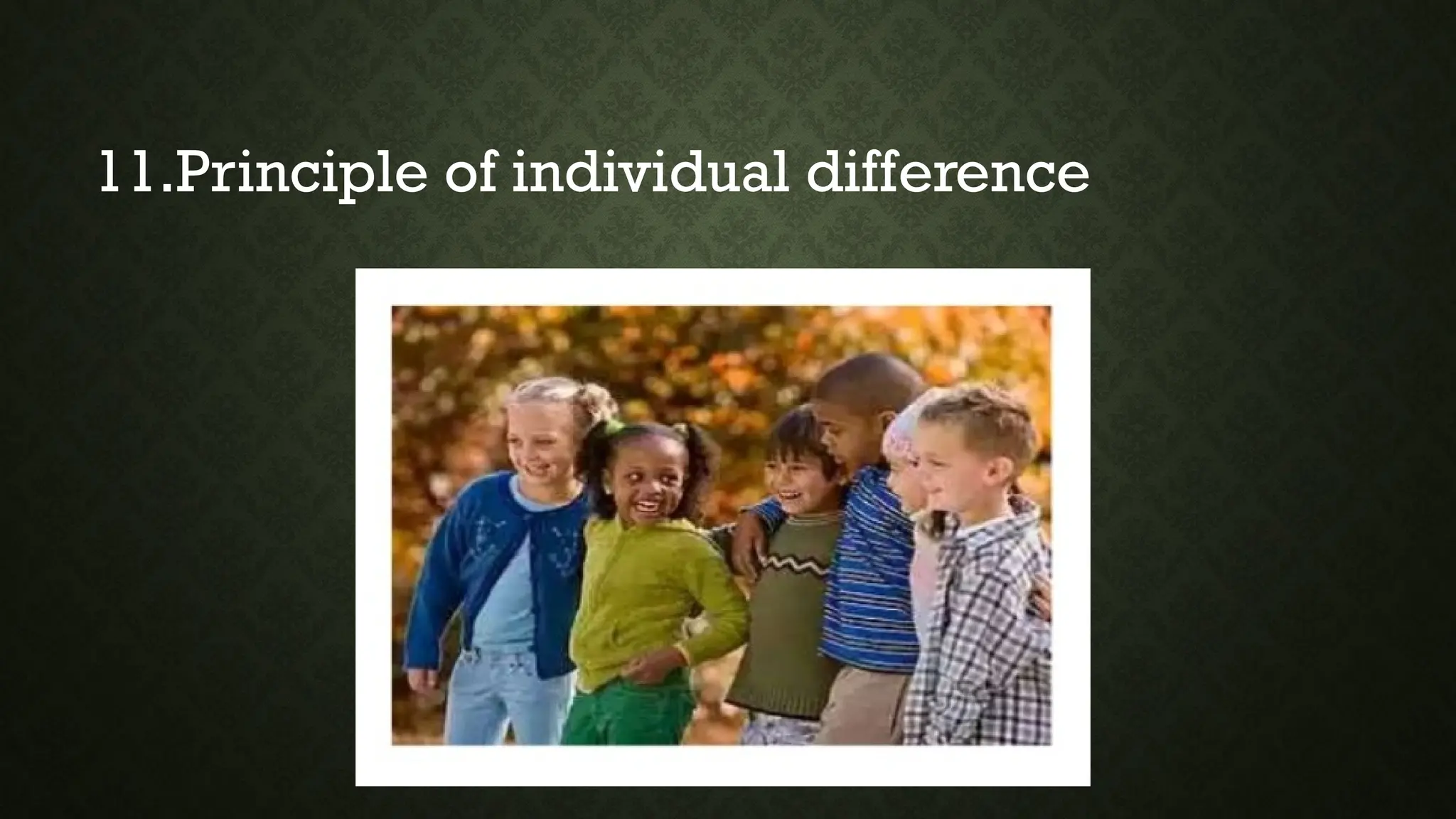 11.Principle of individual difference
 