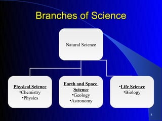Science Branch Tree Gen scicp ch. 1 sci skills student | PPT