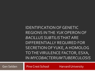IDENTIFICATIONOF GENETIC
REGIONS INTHE YUK OPERON OF
BACILLUS SUBTILISTHATARE
DIFFERENTIALLY REQUIRED FOR
SECRETION OFYUKE, A HOMOLOG
TOTHEVIRULENCE FACTOR, ESXA,
IN MYCOBACTERIUMTUBERCULOSIS
Gen Selden Pine Crest School Harvard University
 