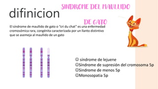 difinicion
El síndrome de maullido de gato o “cri du chat” es una enfermedad
cromosómica rara, congénita caracterizada por un llanto distintivo
que se asemeja al maullido de un gato
 síndrome de lejuene
Síndrome de supresión del cromosoma 5p
Sindrome de menos 5p
Monosopatia 5p
SINDROME DEL MAULLIDO
DE GATO
 