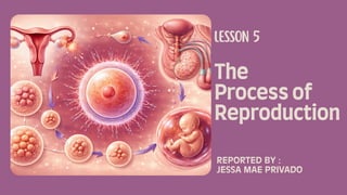 Procreation Explained Comprehensive Overview of Human Reproduction, Pregnancy, and Prevention ...
