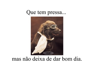 Que tem pressa...  mas não deixa de dar bom dia. 