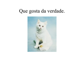 Que gosta da verdade. 