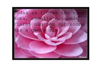 Todas as flores têm nome Rosa, camélia e jasmim Flores não têm sobrenome Mas a gente sim 