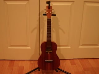 PICT of Ukulele
 