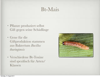 Bt-Mais

           •   Pﬂanze produziert selbst
               Gift gegen seine Schädlinge

           •   Gene für die
               Giftproduktion stammen
               aus Bakterium Bacillus
               thuringiensis

           •   Verschiedene Bt-Toxine
               sind speziﬁsch für Arten/
               Klassen

Samstag, 13. August 2011
 