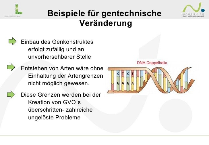 Gentechnik Fluch Oder Segen