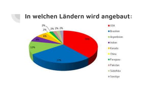 In welchen Ländern wird angebaut:
 