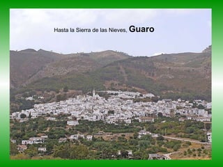 Hasta la Sierra de las Nieves,  Guaro 
