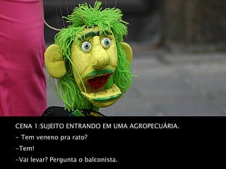 CENA 1:SUJEITO ENTRANDO EM UMA AGROPECUÁRIA.  - Tem veneno pra rato?  -Tem!  -Vai levar? Pergunta o balconista.  - Não, vou trazer os ratos pra comer aqui!!!!!!   