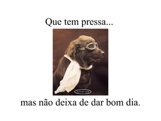 Que tem pressa...  mas não deixa de dar bom dia. 