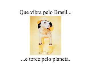 Que vibra pelo Brasil... ...e torce pelo planeta. 