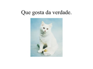 Que gosta da verdade. 