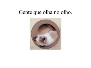 Gente que olha no olho.
 