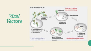 Viral
Vectors
 